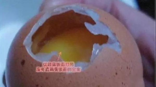 一招教你識別真假雞蛋，別再被坑了！