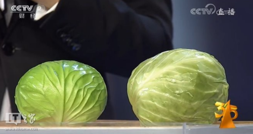 央視315曝光：季節(jié)謠？是否可信？ 