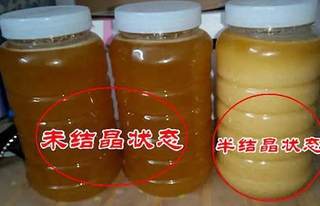 蜂蜜真假鑒定方法14種,蜂蜜真假怎么鑒定