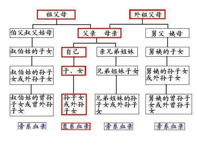 直系親屬包括哪些,血親直系三代親屬關(guān)系圖
