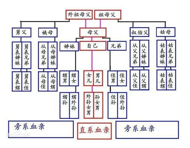 直系親屬包括哪些,血親直系三代親屬關(guān)系圖