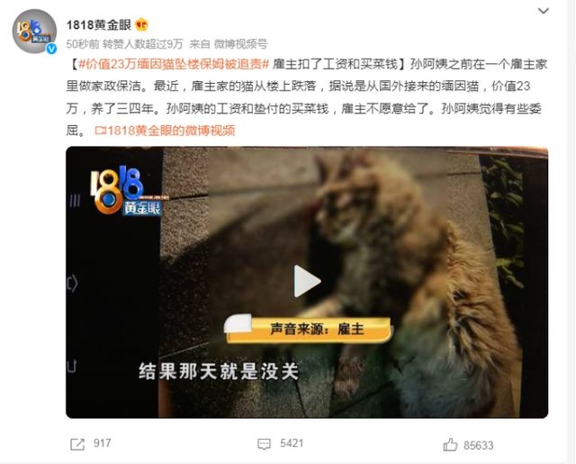 寵物貓墜樓保姆被追責(zé) 保姆覺得有些委屈