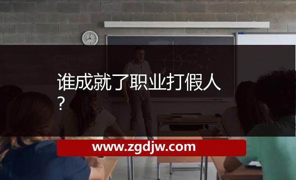 誰(shuí)成就了職業(yè)打假人? 