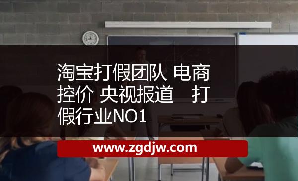 淘寶打假團(tuán)隊 電商控價 央視報道　打假行業(yè)NO1 