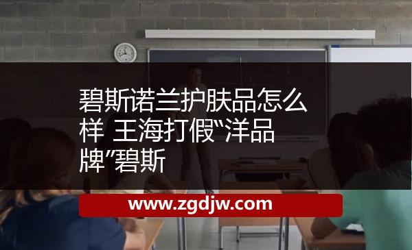 碧斯諾蘭護(hù)膚品怎么樣 王海打假“洋品牌”碧斯 