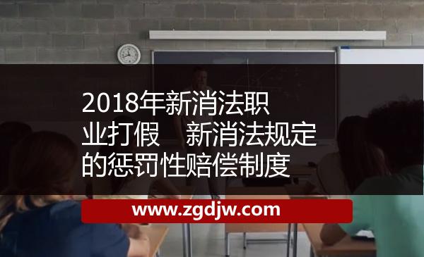 2018年新消法職業(yè)打假　新消法規(guī)定的懲罰性賠償制度 