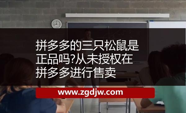 拼多多的三只松鼠是正品嗎?從未授權(quán)在拼多多進(jìn)行售賣 