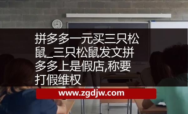 拼多多一元買三只松鼠_三只松鼠發(fā)文拼多多上是假店,稱要打假維權(quán) 