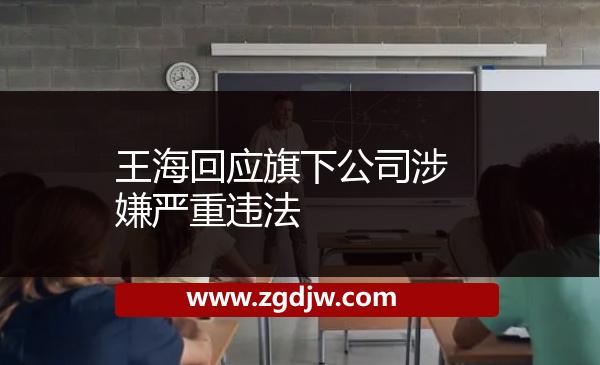 王海回應(yīng)旗下公司涉嫌嚴(yán)重違法 