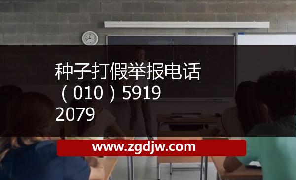 種子打假舉報電話 （010）59192079 