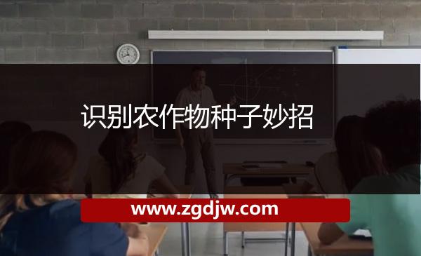 識別農作物種子妙招