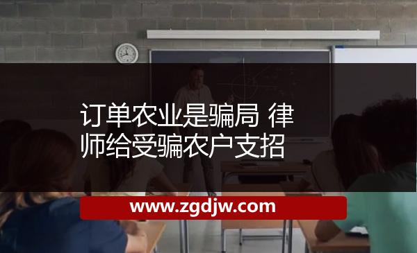 訂單農業(yè)是騙局 律師給受騙農戶支招