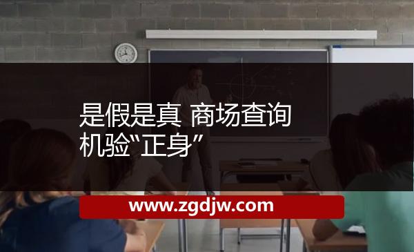 是假是真 商場查詢機驗“正身”