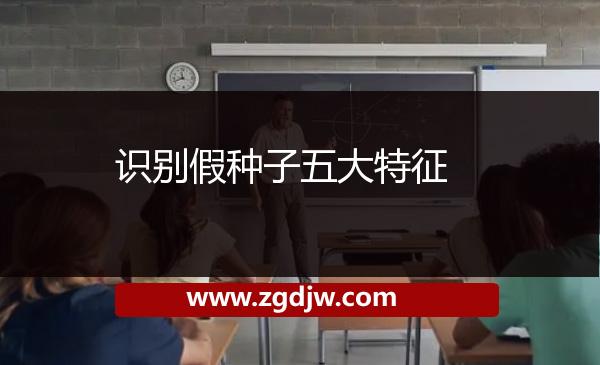 識別假種子五大特征