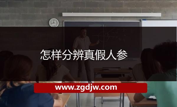 怎樣分辨真假人參 
