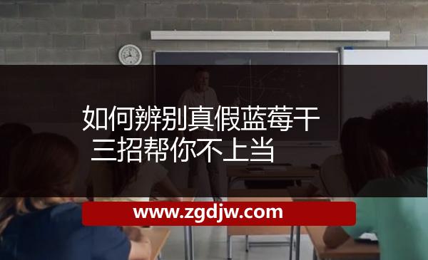 如何辨別真假藍莓干 三招幫你不上當 