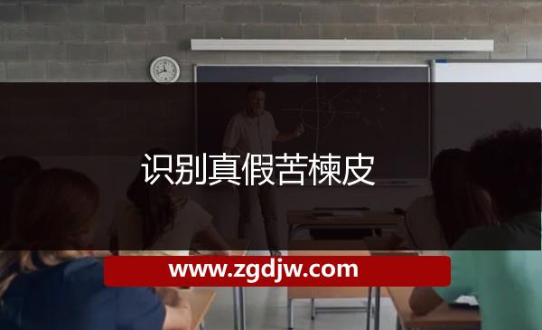 識(shí)別真假苦楝皮 