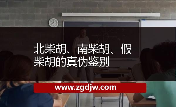 北柴胡、南柴胡、假柴胡的真?zhèn)舞b別 