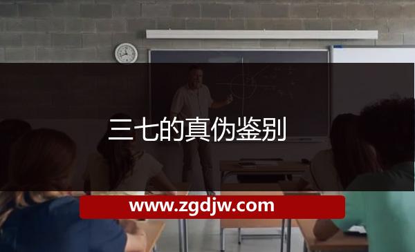 三七的真?zhèn)舞b別 