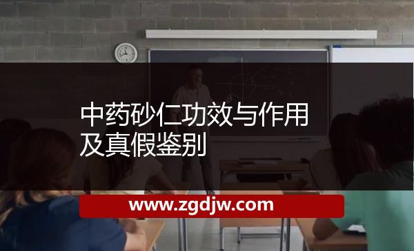 中藥砂仁功效與作用及真假鑒別 