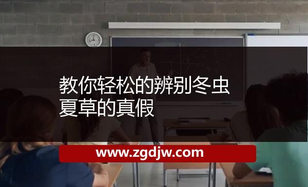 教你輕松的辨別冬蟲夏草的真假 