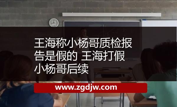 王海稱(chēng)小楊哥質(zhì)檢報(bào)告是假的 王海打假小楊哥后續(xù) 