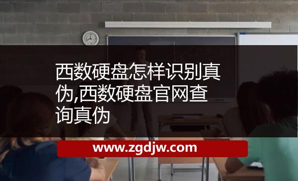 西數(shù)硬盤怎樣識別真?zhèn)?西數(shù)硬盤官網(wǎng)查詢真?zhèn)?
