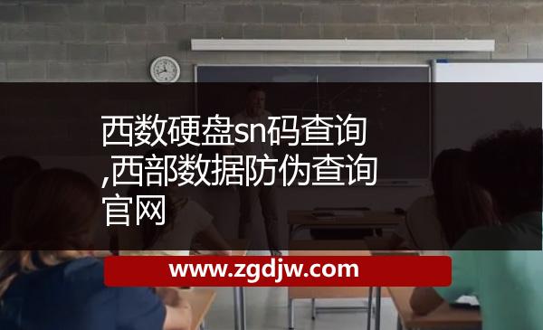 西數(shù)硬盤sn碼查詢,西部數(shù)據(jù)防偽查詢官網(wǎng) 