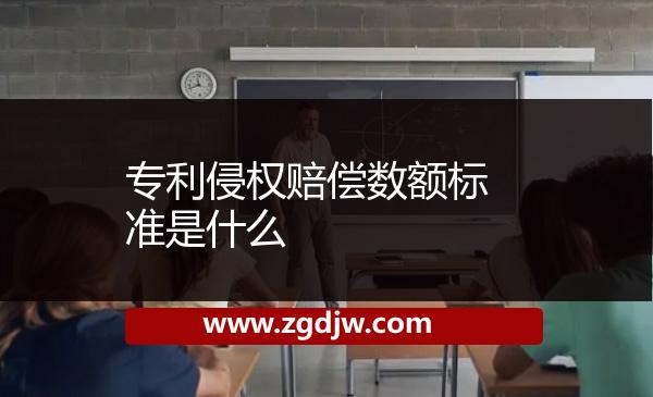 專(zhuān)利侵權(quán)賠償數(shù)額標(biāo)準(zhǔn)是什么 