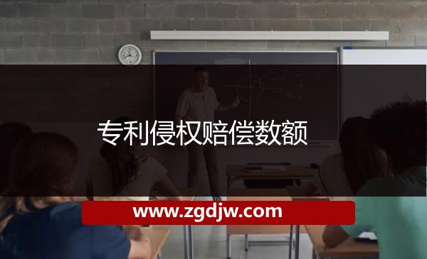 專(zhuān)利侵權(quán)賠償數(shù)額 